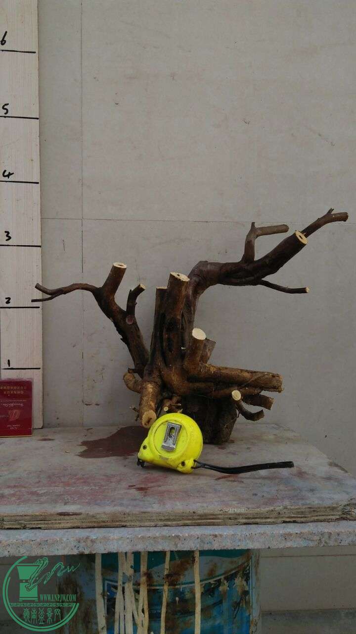 QQͼƬ20160229204601.jpg