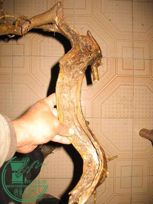 052.JPG