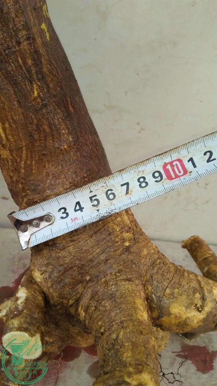 QQͼƬ20160229190818.jpg