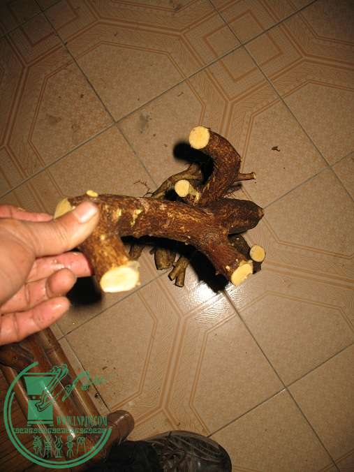 035.JPG