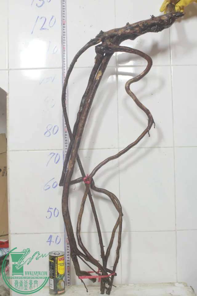 psb (12).jpg