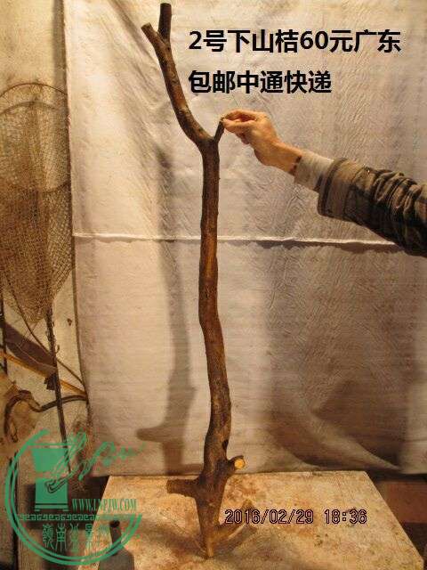 QQͼƬ20160229204712.jpg