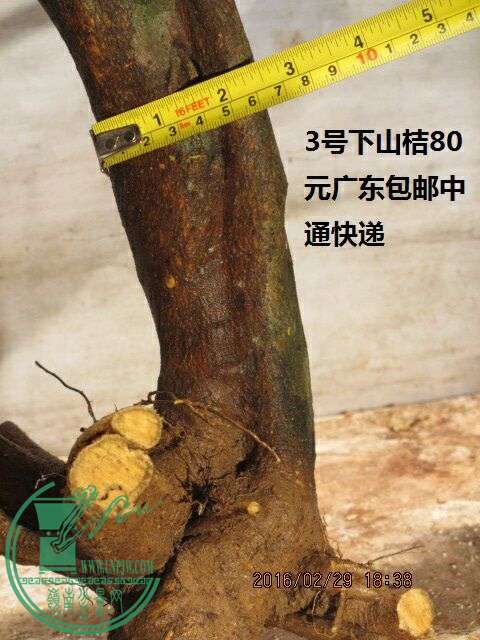 QQͼƬ20160229204619.jpg