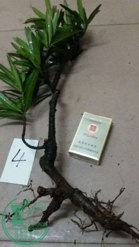 752769