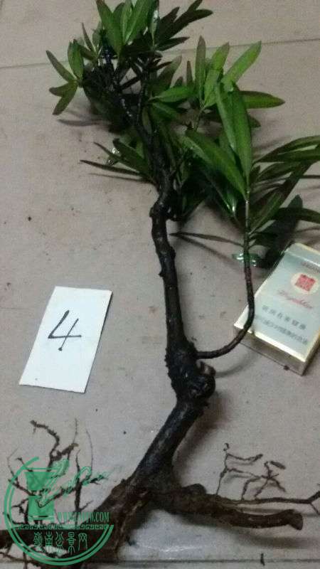 752770
