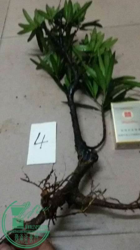 752771