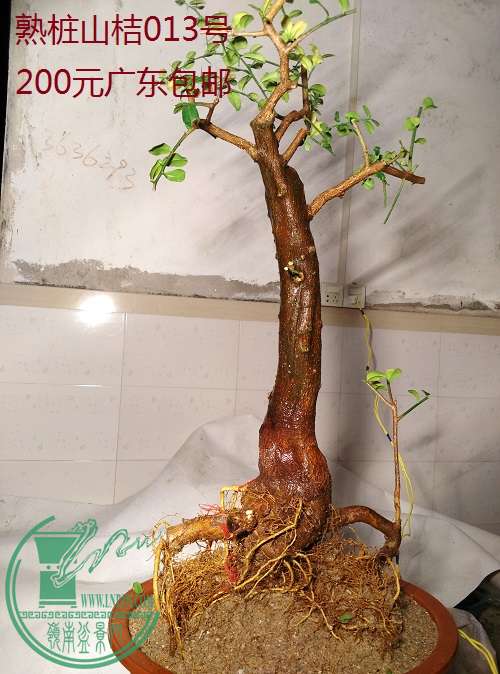 QQͼƬ20160229231800.jpg