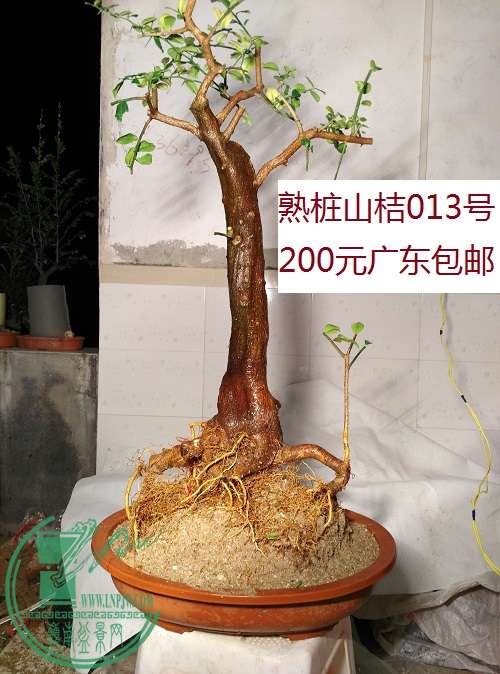 QQͼƬ20160229231805.jpg