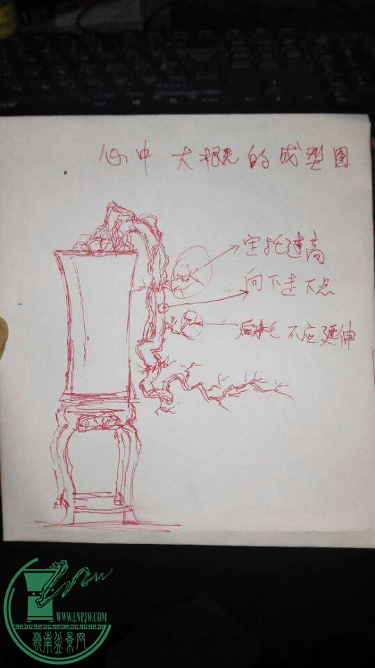 3ee82db78d2bcdaf.jpg