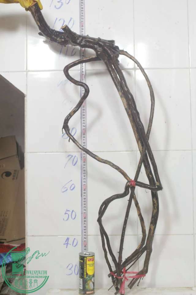 psb (11).jpg