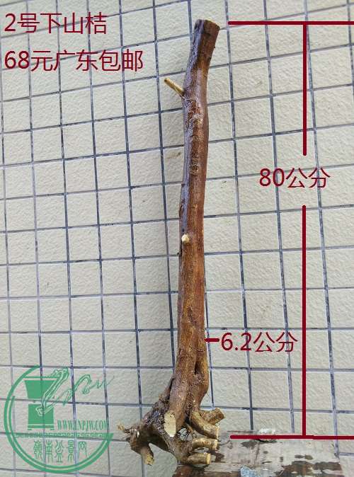 QQͼƬ20160301182943.jpg