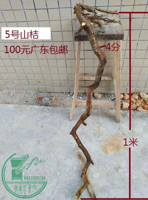 QQͼƬ20160301183047.jpg