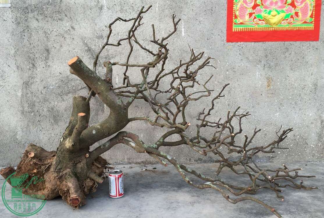 QQͼƬ20160301192537.jpg