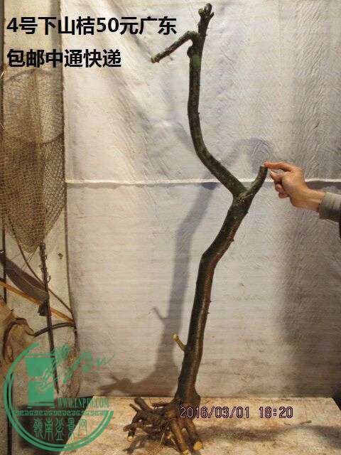 QQͼƬ20160301192233.jpg