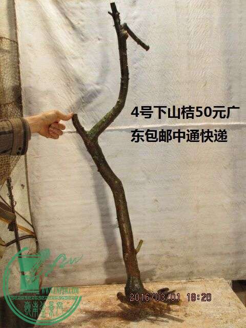 QQͼƬ20160301192247.jpg