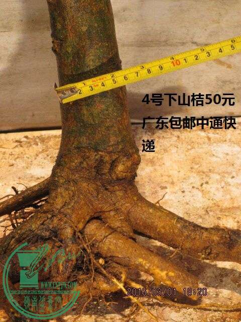 QQͼƬ20160301192302.jpg