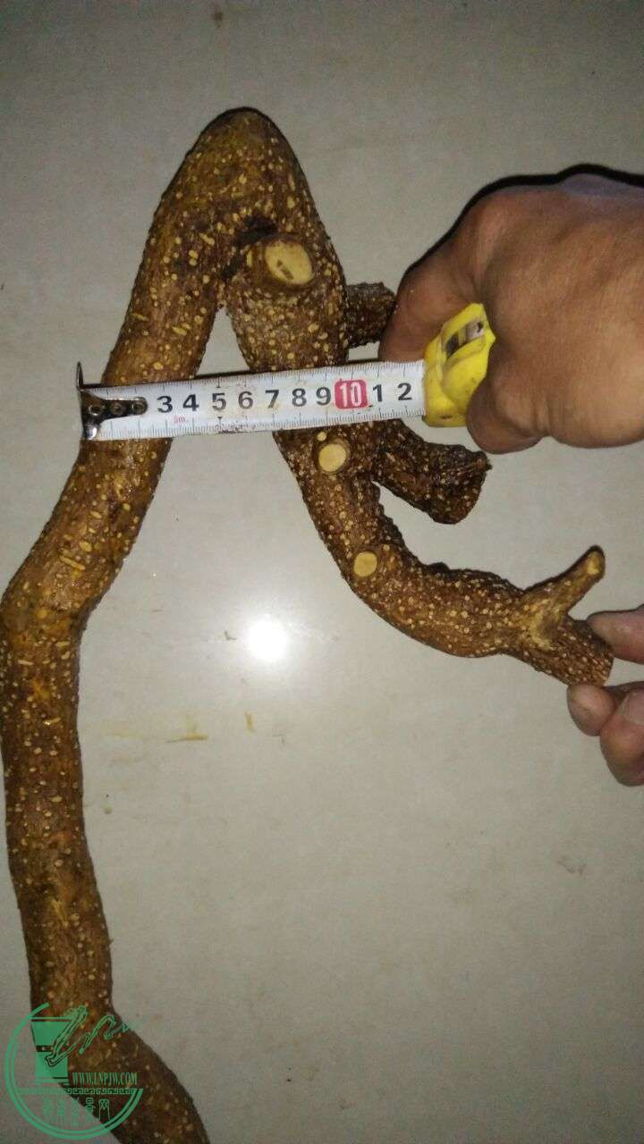 QQͼƬ20160301192229.jpg