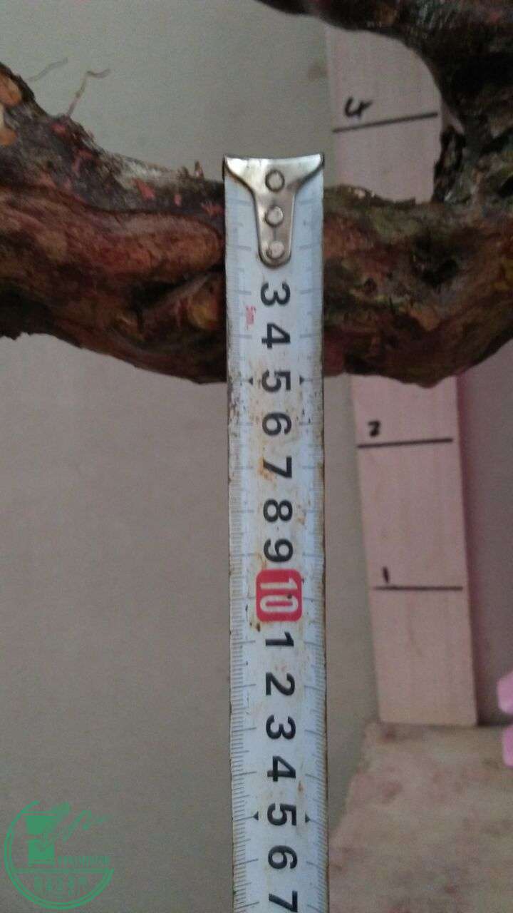 QQͼƬ20160301191903.jpg