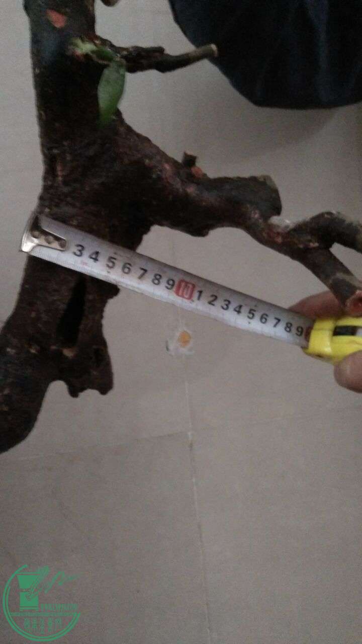 QQͼƬ20160301191837.jpg