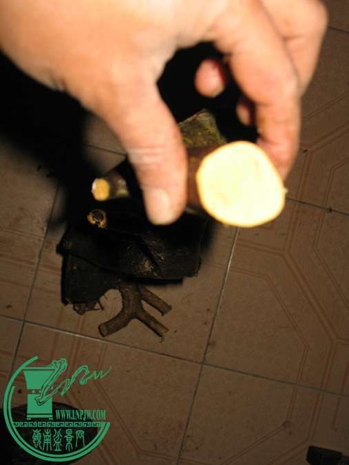 030.JPG