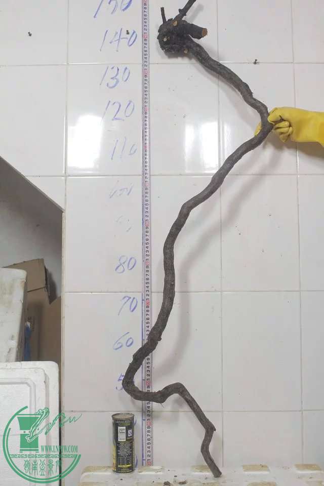 psb (3).jpg