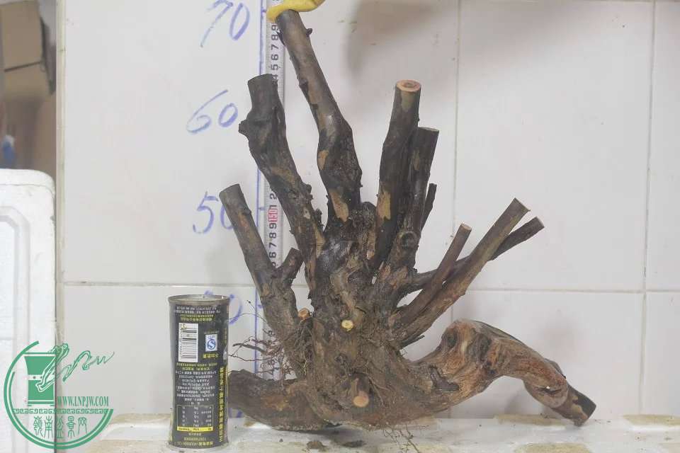 psb (12).jpg