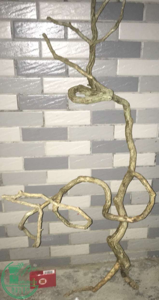 image.jpeg