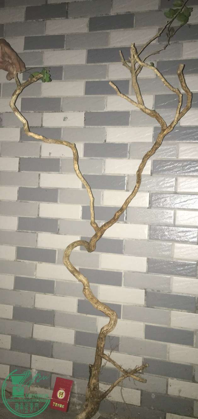 image.jpeg