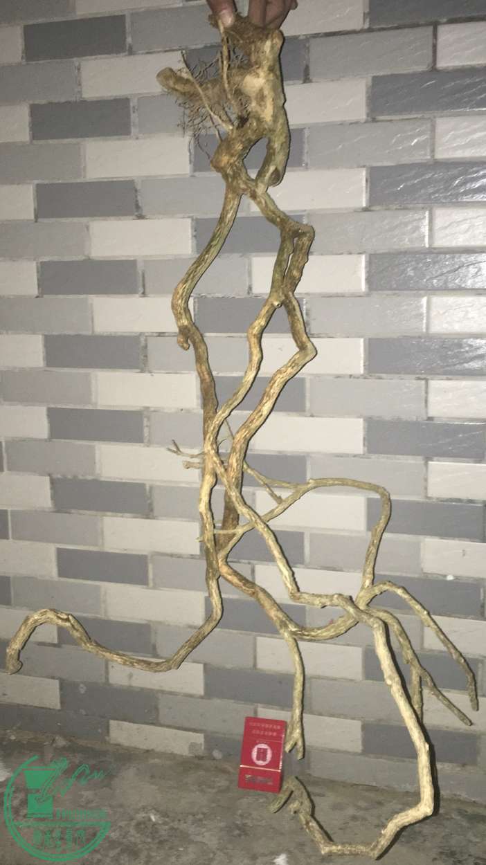 image.jpeg