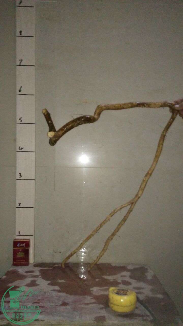 QQͼƬ20160301192200.jpg