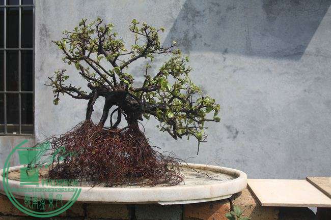 Ƭ20131026ۺ 853.jpg