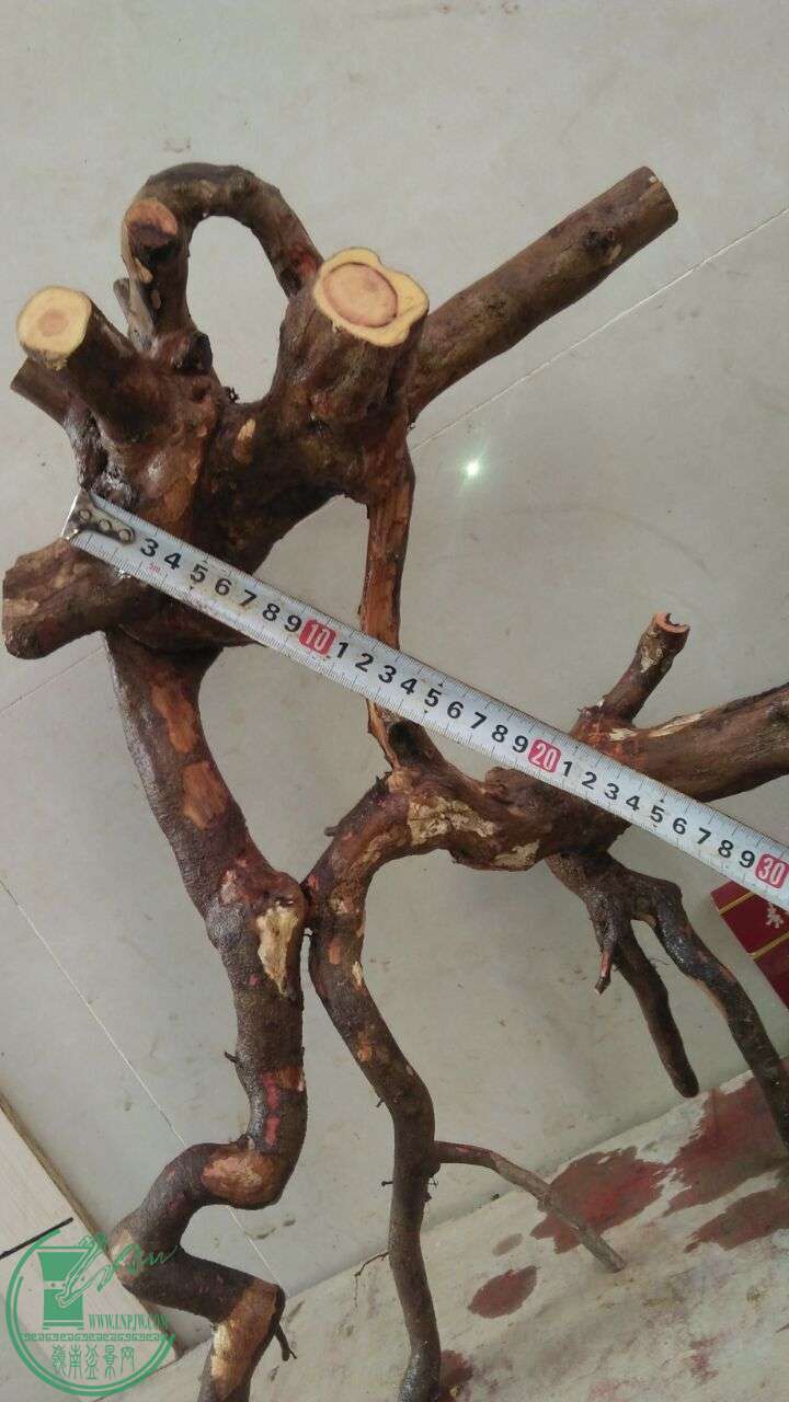 QQͼƬ20160302185432.jpg