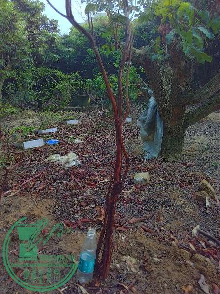 IMG_20160301_165502_HDR.jpg