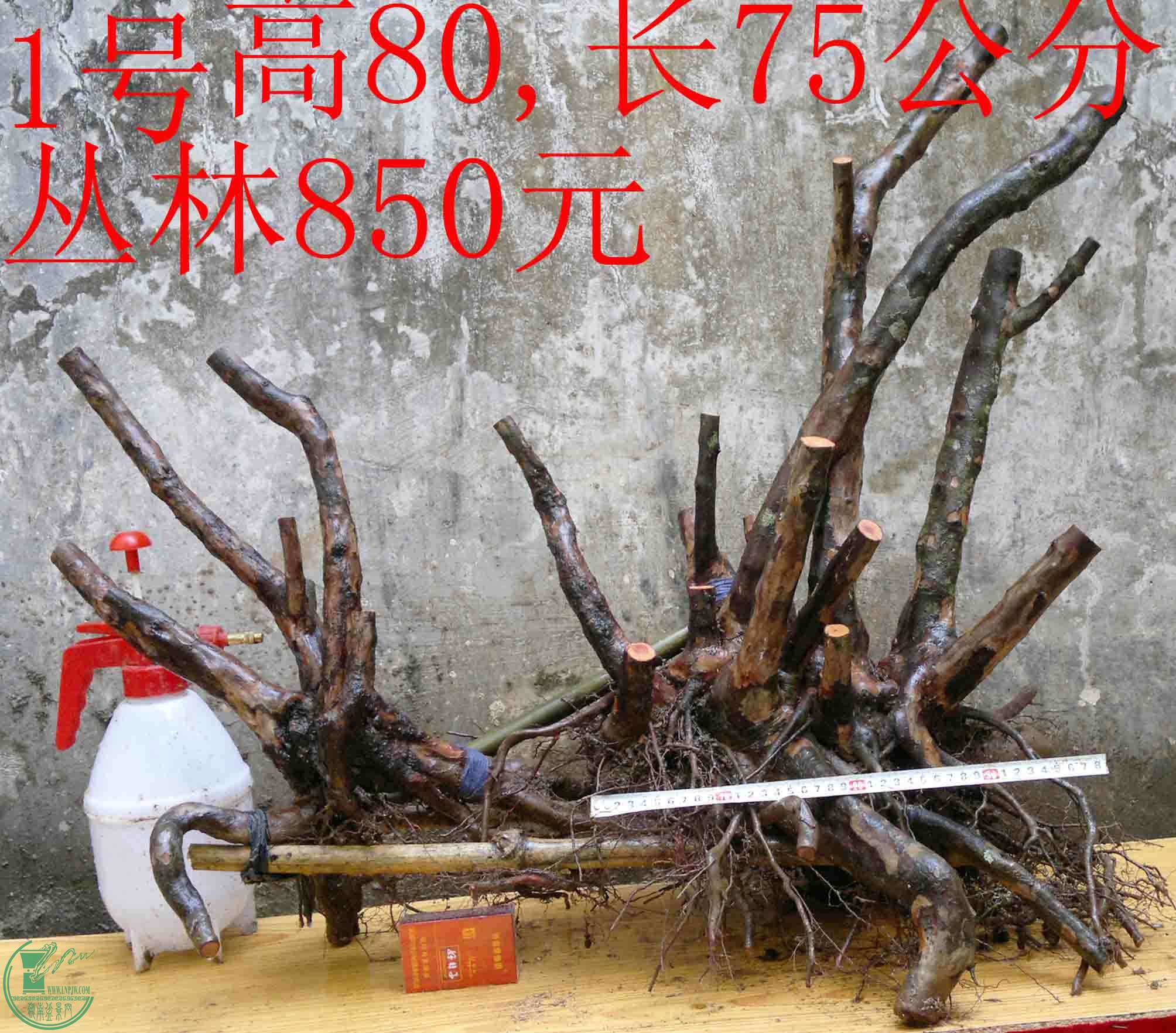 2016030111268.jpg