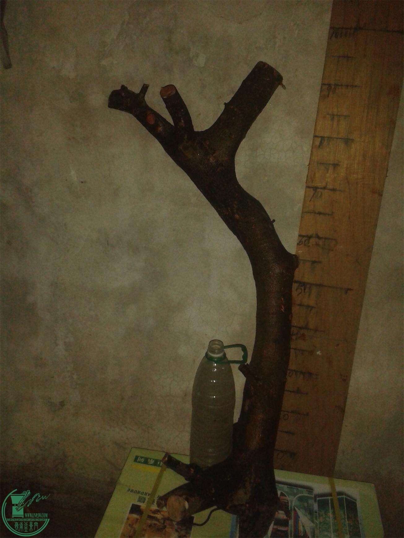20160302_203616.jpg