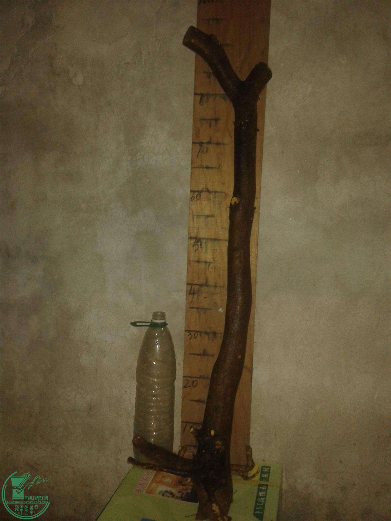 20160302_203239.jpg
