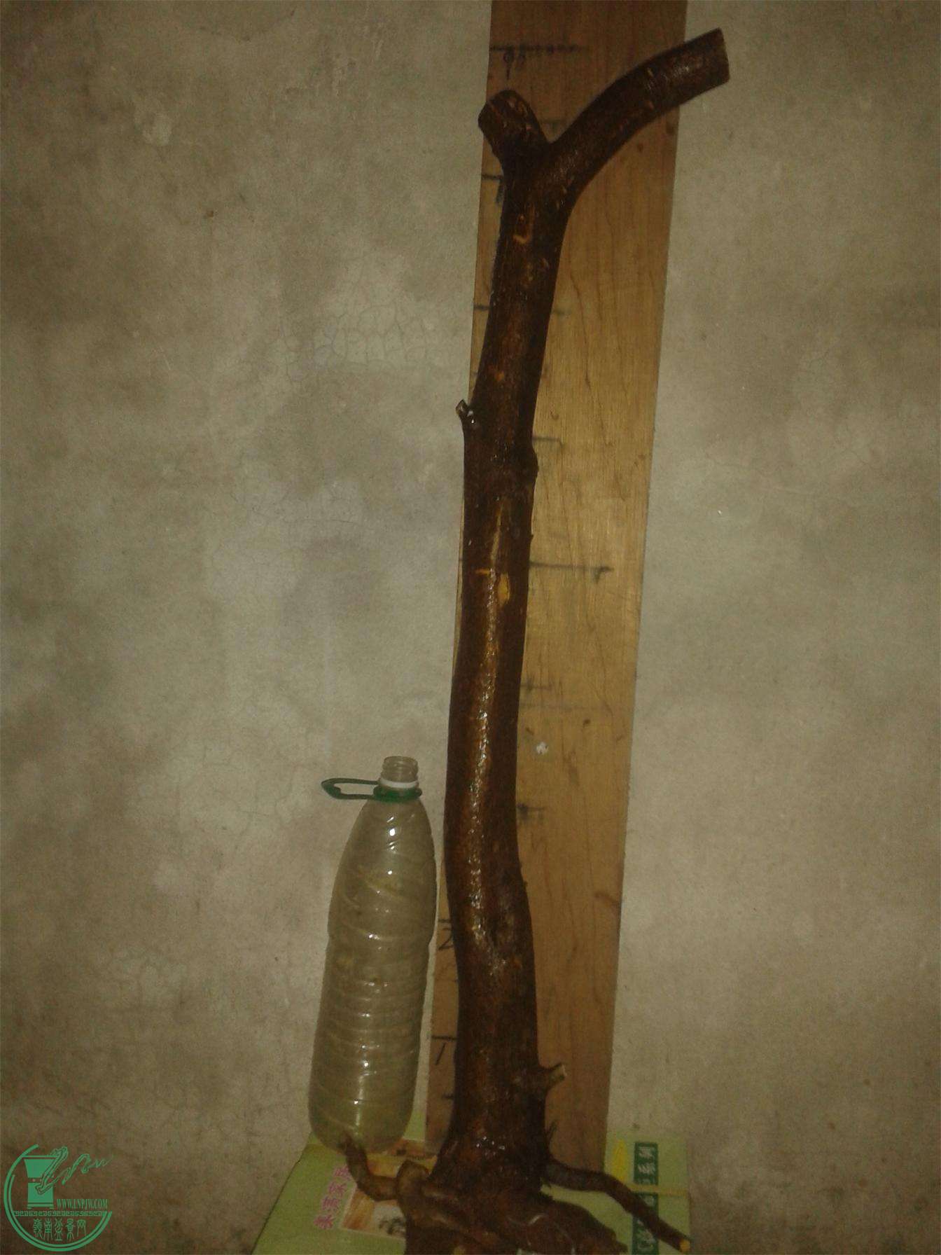 20160302_203319.jpg