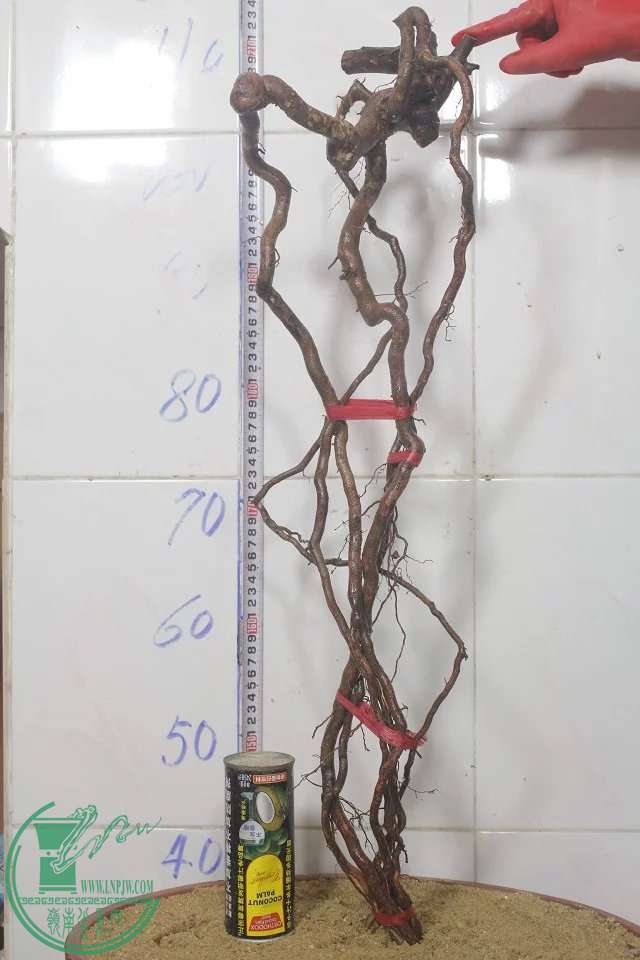 psb (12).jpg