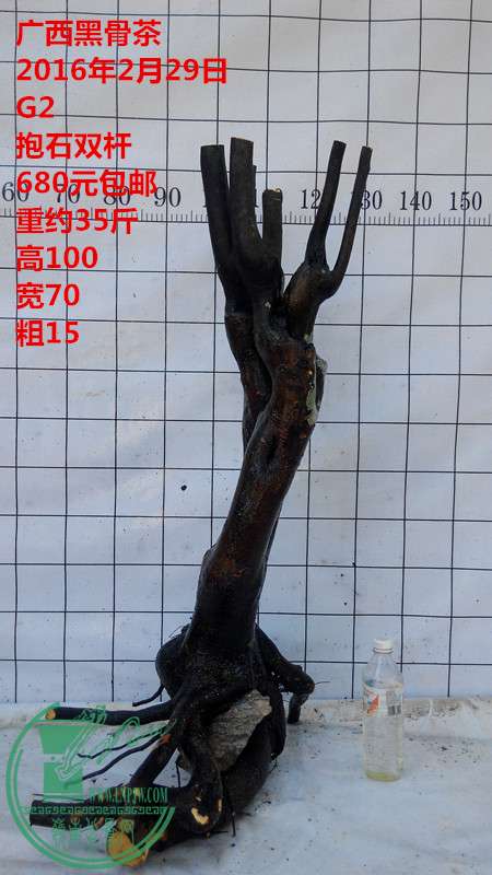 IMG_20160229_150439_.jpg