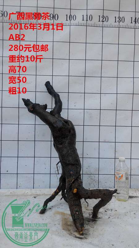IMG_20160301_135221_.jpg