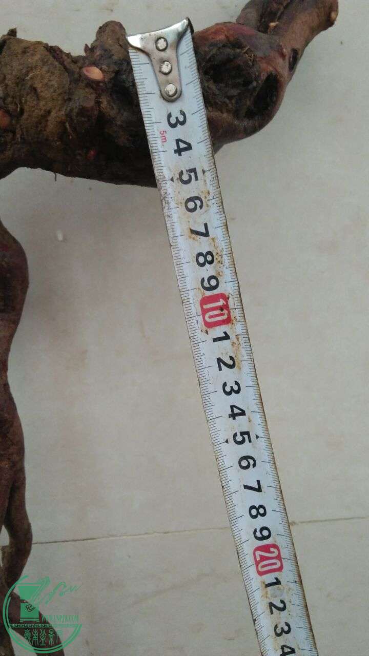 QQͼƬ20160303192531.jpg