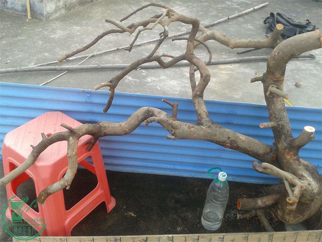 20160303_171253.jpg