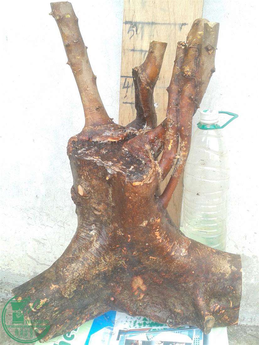 20160303_172711.jpg