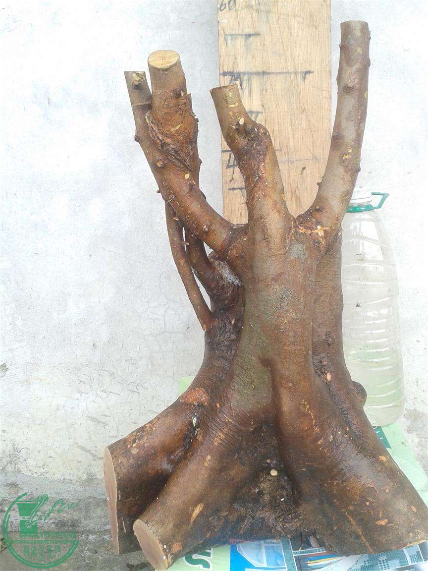 20160303_172821.jpg