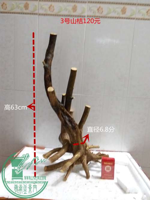 P60303-185413_.jpg