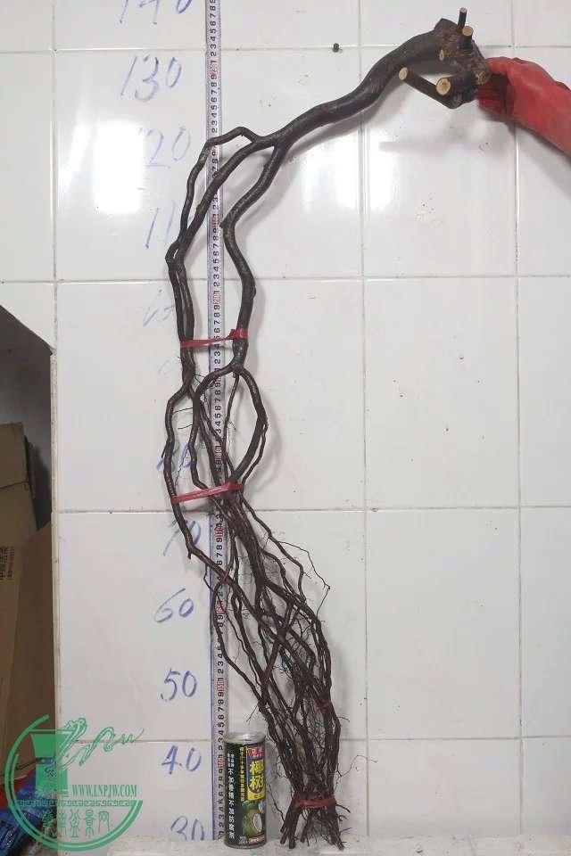 psb (12).jpg