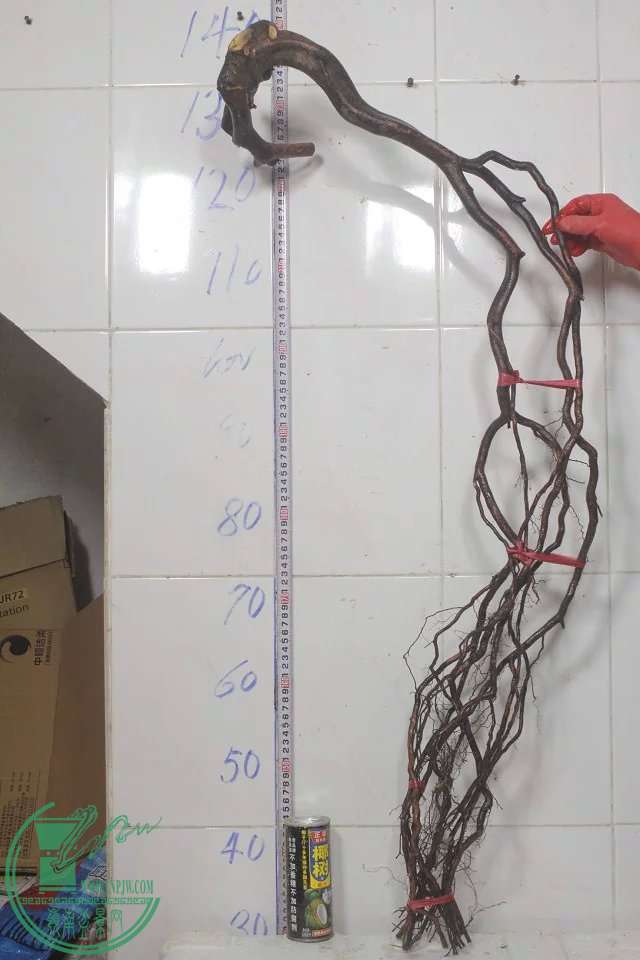 psb (13).jpg