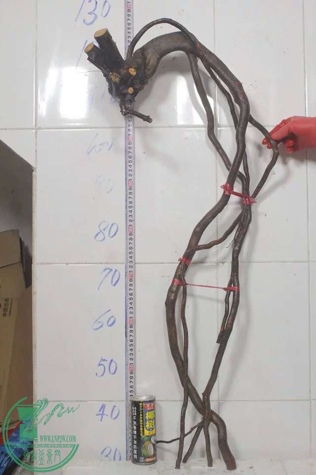 psb (14).jpg