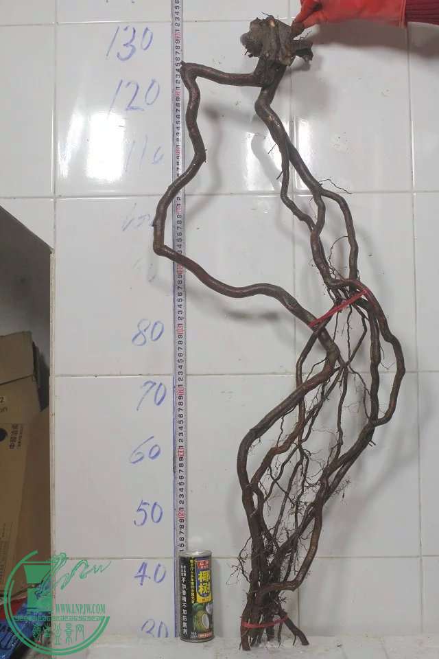 psb (23).jpg