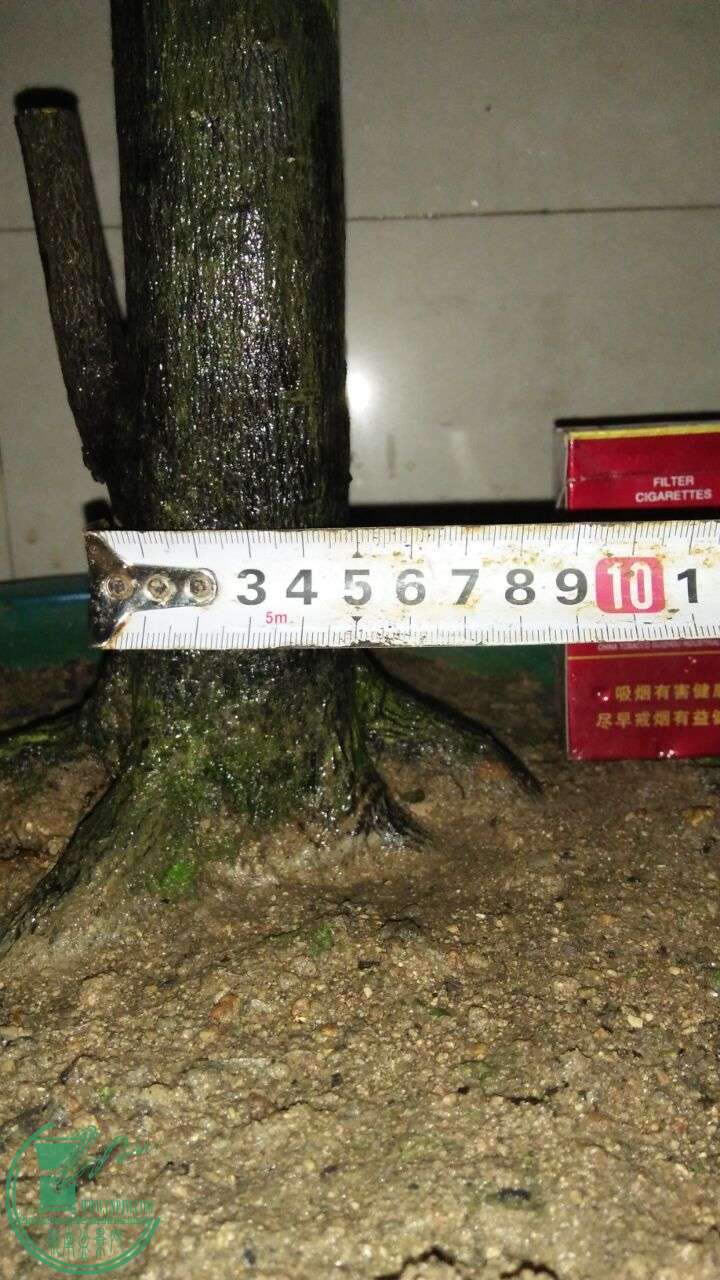 QQͼƬ20160303210325.jpg